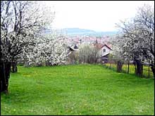 BG-51889 - Two plots of building land with stunning mountain view, just 15 km to Borovets Ski Resort